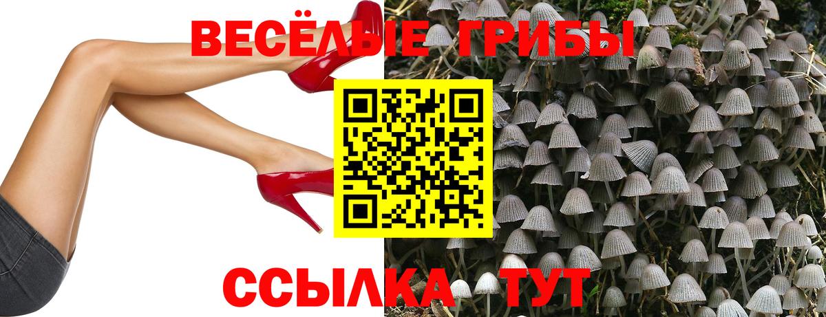 Галлюциногенные грибы GOLDEN TEACHER  Псилоцибиновые грибы мухоморы  Назрань  Вход с VPN 